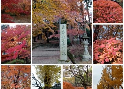 關西秋季熱血追楓（關西機場,京都,大阪,和歌山 /單人旅遊/5天）