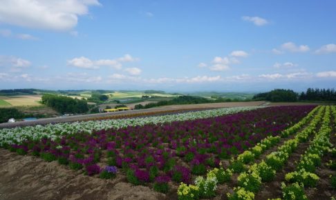 北海道11日家庭旅遊（函館,洞爺湖,帶廣,知床,網走,旭川,富良野,美瑛,札幌）