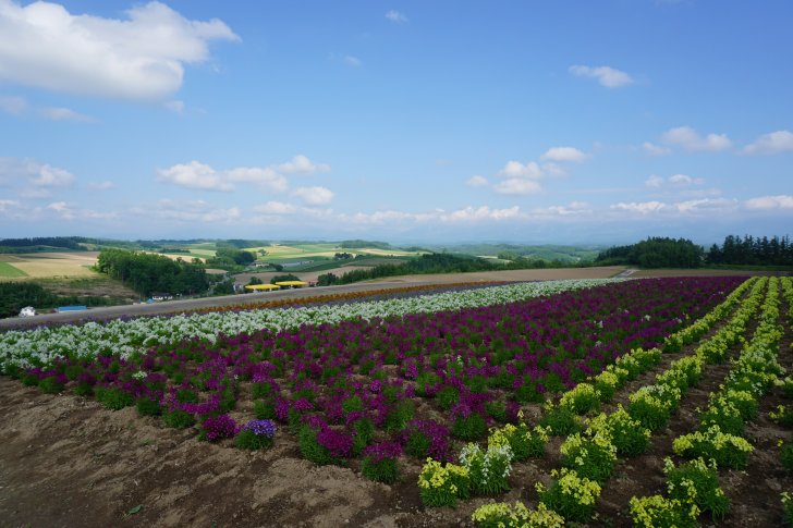 北海道11日家庭旅遊（函館,洞爺湖,帶廣,知床,網走,旭川,富良野,美瑛,札幌）