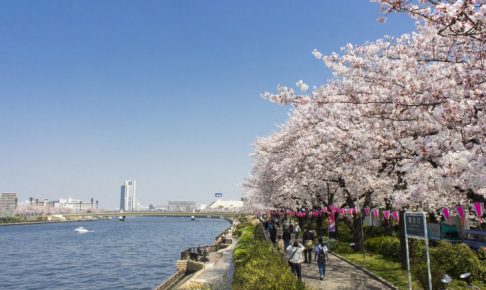 東京櫻花迪士尼